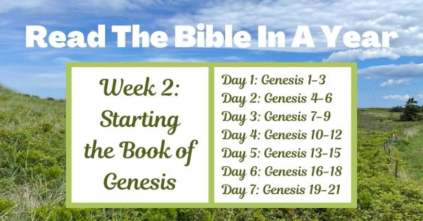 Read the Bible in a Year: Week 2 – Popular Bible Stories from Genesis