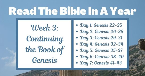 Read the Bible in a Year: Week 3 – A Journey Through Popular Bible Stories