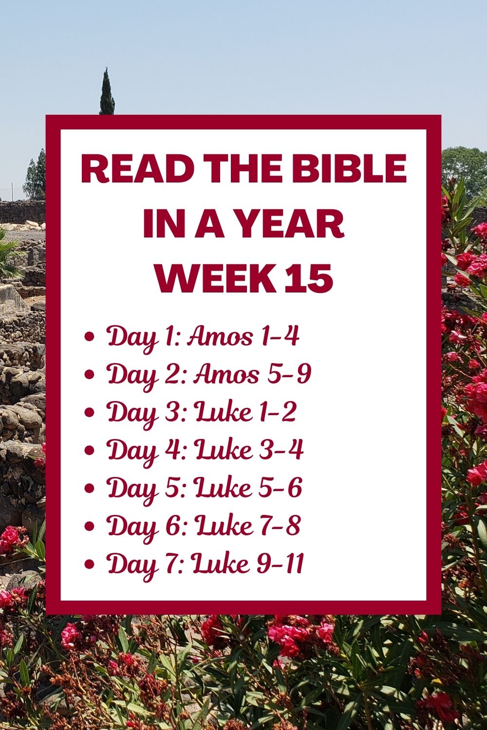 Read the Bible in a Year: Week 15 - Reading Amos and Beginning the Gospel According to Luke