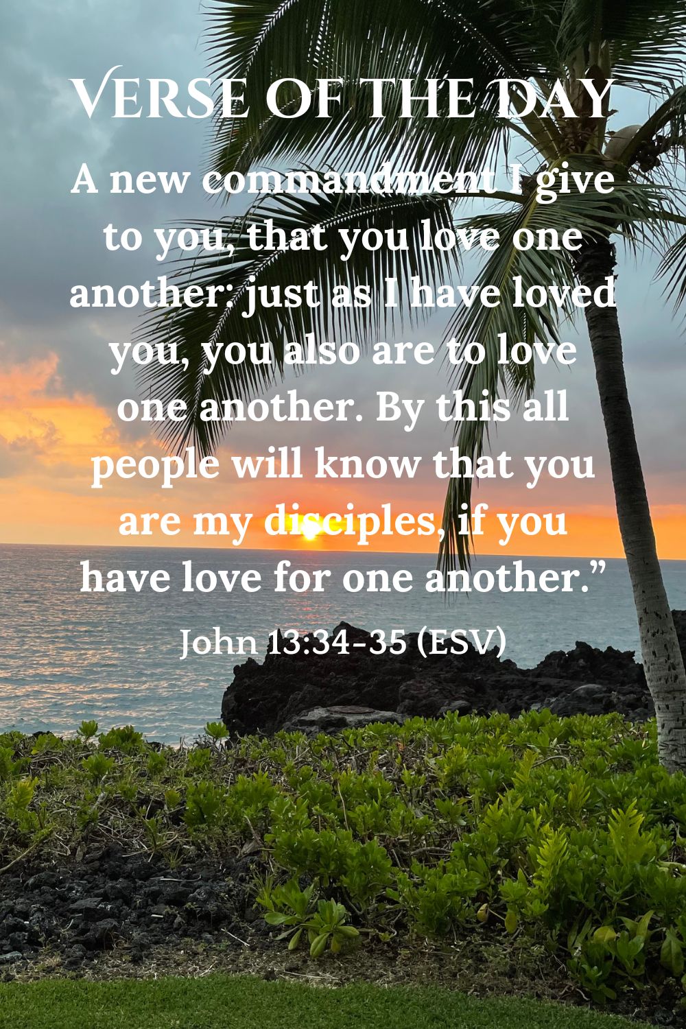 John 13:34-35 (ESV)