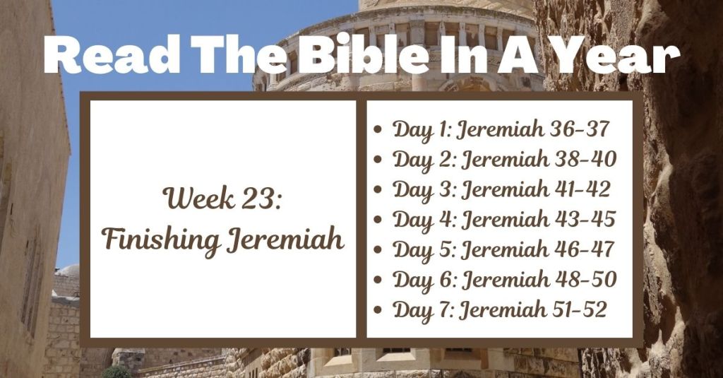 Read the Bible in a Year: Week 23 - Adversity, Justice, and Repentance