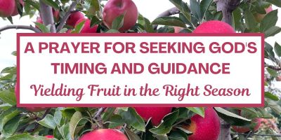 A Prayer for Seeking God's Timing and Guidance: Yielding Fruit in the Right Season