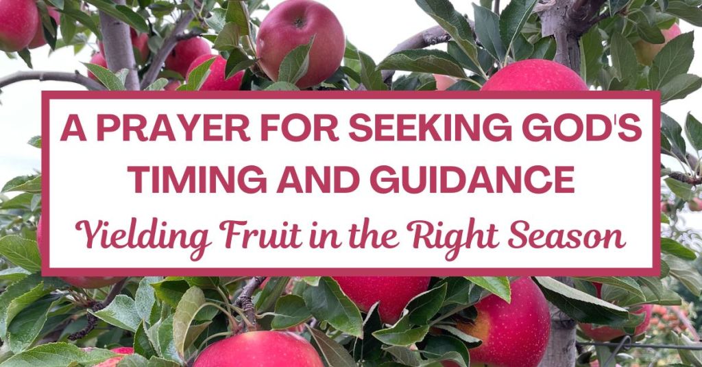 A Prayer for Seeking God’s Timing and Guidance: Yielding Fruit in the Right&nbsp;Season