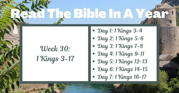 Read the Bible in a Year: Week 30 – Exploring Solomon’s Reign and Wisdom