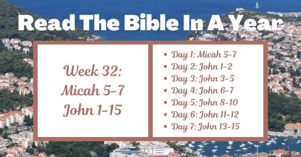 Read the Bible in a Year: Week 32 – Micah 5-7 and John 1-15