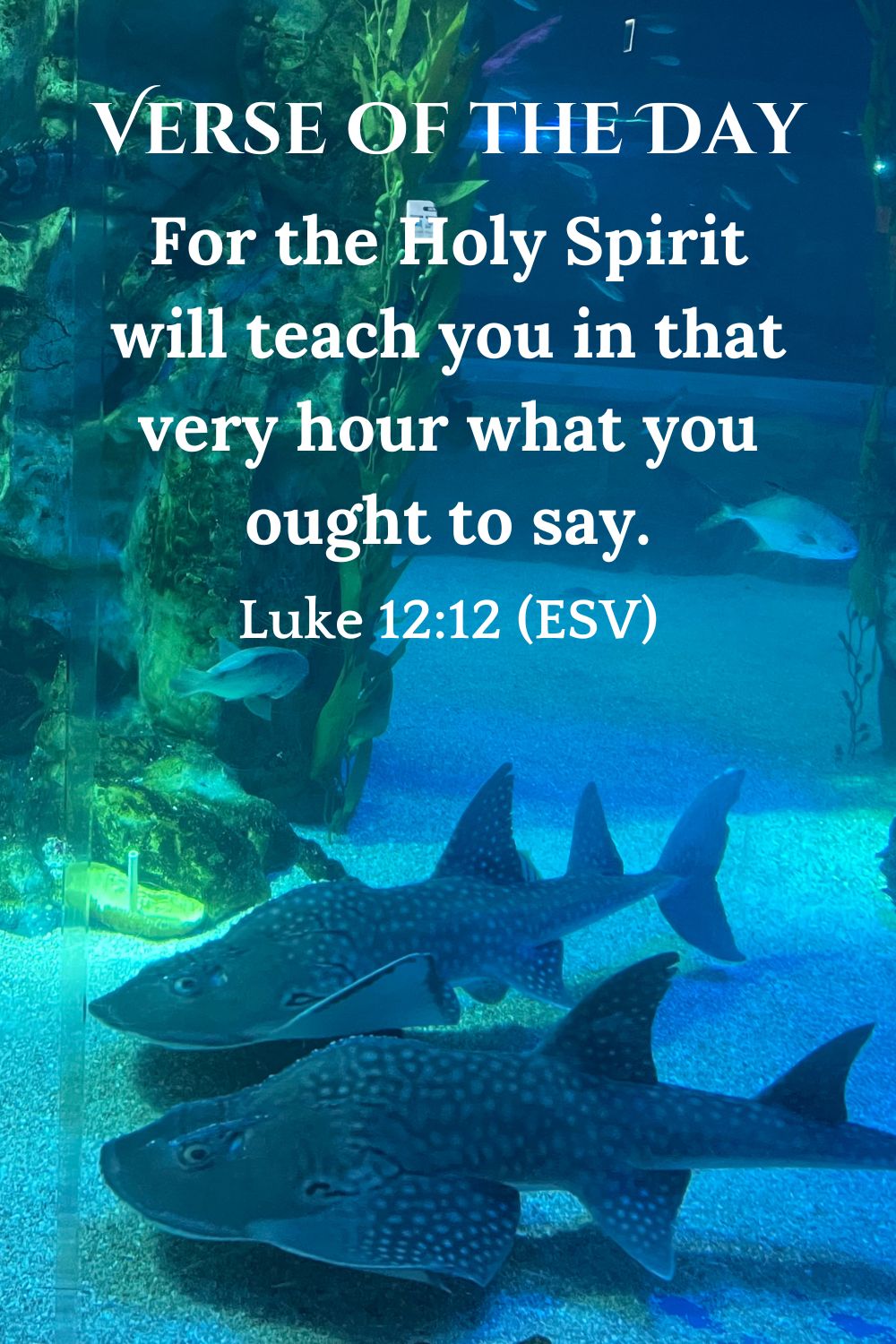 Luke 12:12 (ESV)