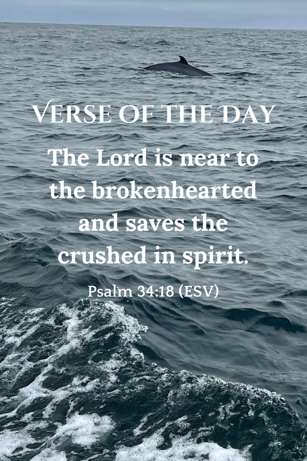 The Lord is near to the brokenhearted and saves the crushed in spirit. - Psalm 34:18 (ESV)