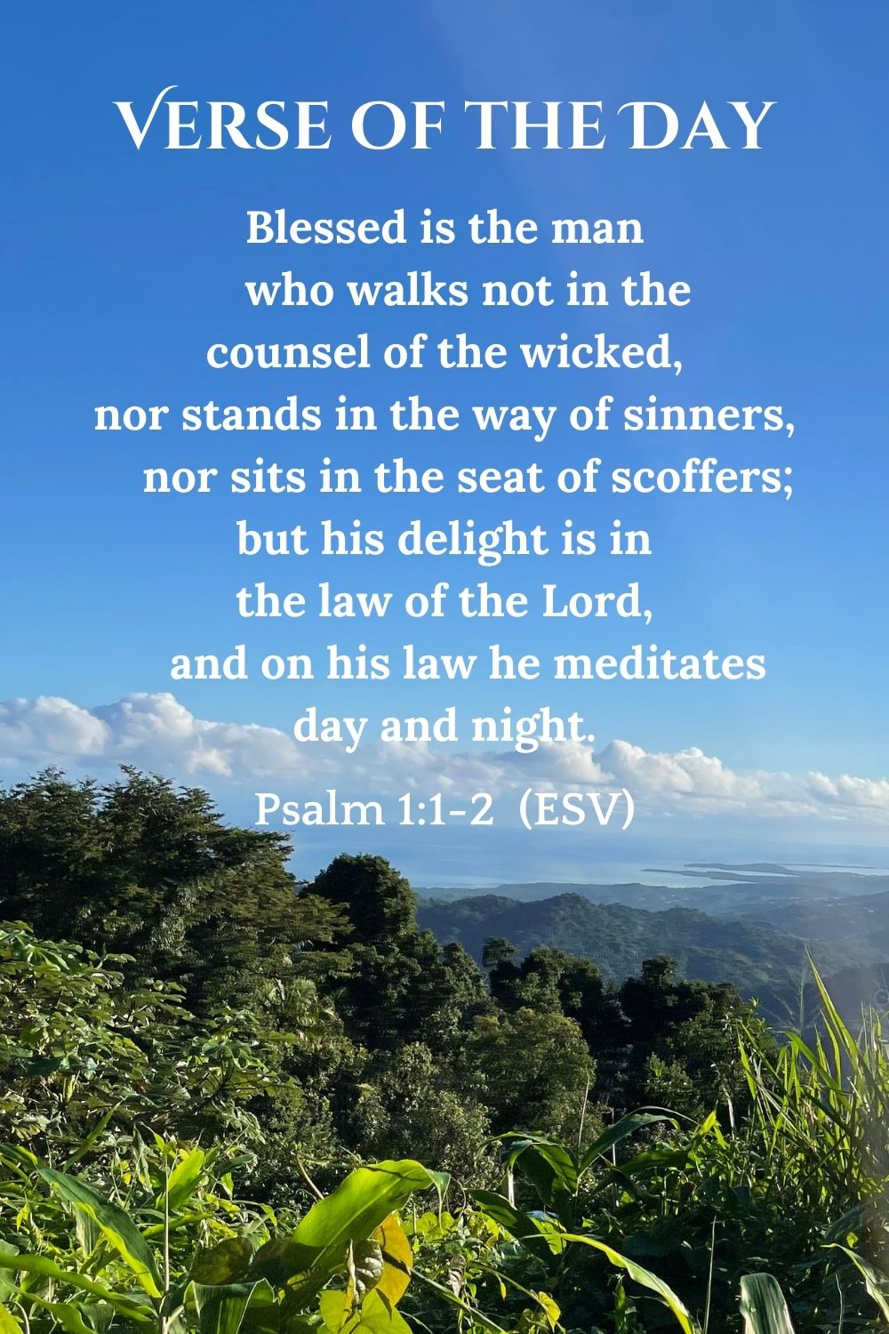 Psalm 1:1-2 (ESV): Blessed is the man who walks not in the counsel of the wicked, nor stands in the way of sinners, nor sits in the seat of scoffers; but his delight is in the law of the Lord, and on his law he meditates day and night.