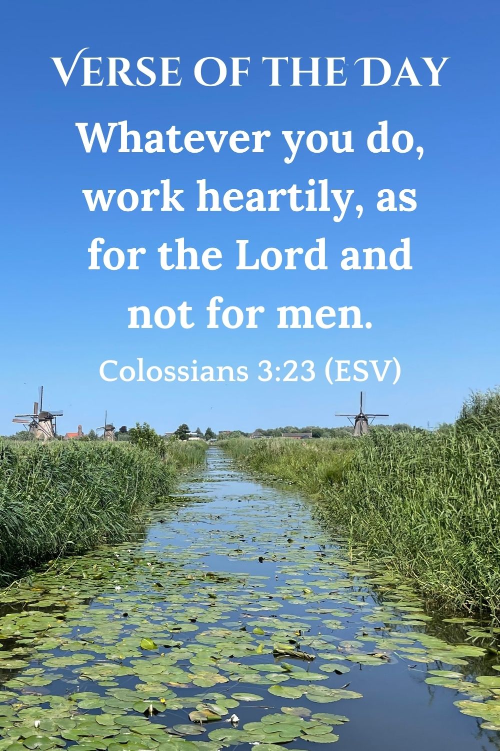 Colossians 3:23 (ESV): Whatever you do, work heartily, as for the Lord and not for men.