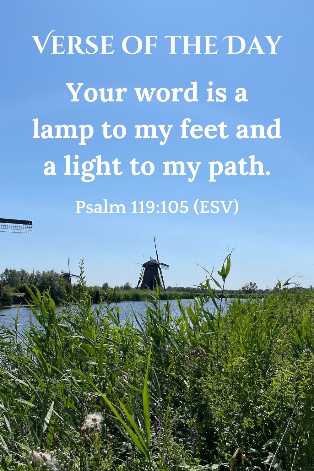 Psalm 119:105 (ESV)
