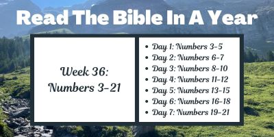 Read the Bible in a Year: Week 36 - Numbers 3-21