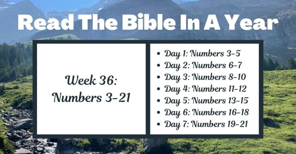 Read the Bible in a Year: Week 36 - Numbers 3-21