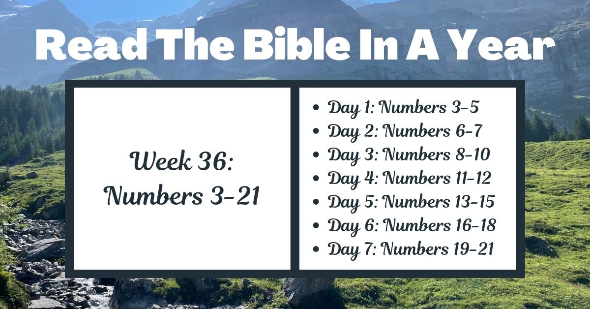 Read the Bible in a Year: Week 36 – Numbers&nbsp;3-21