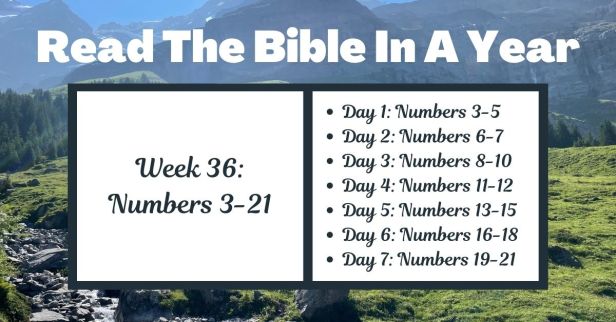 Read the Bible in a Year: Week 36 – Numbers 3-21