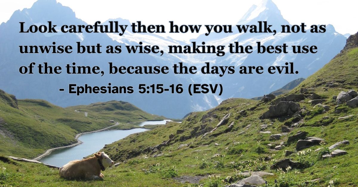 Ephesians 5:15-16 (ESV): Look carefully then how you walk, not as unwise but as wise, making the best use of the time, because the days are evil.