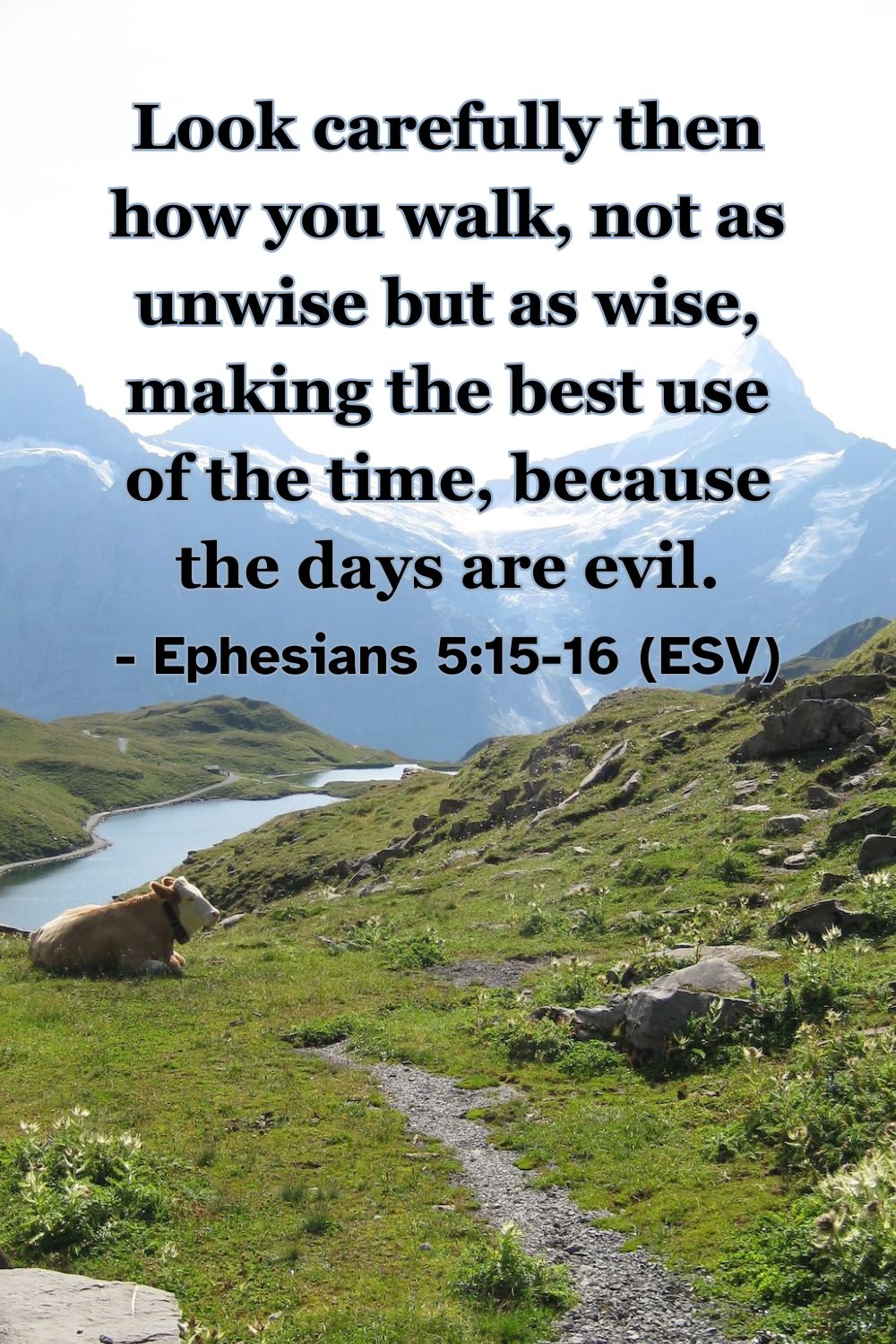 Ephesians 5:15-16 (ESV): Look carefully then how you walk, not as unwise but as wise, making the best use of the time, because the days are evil.