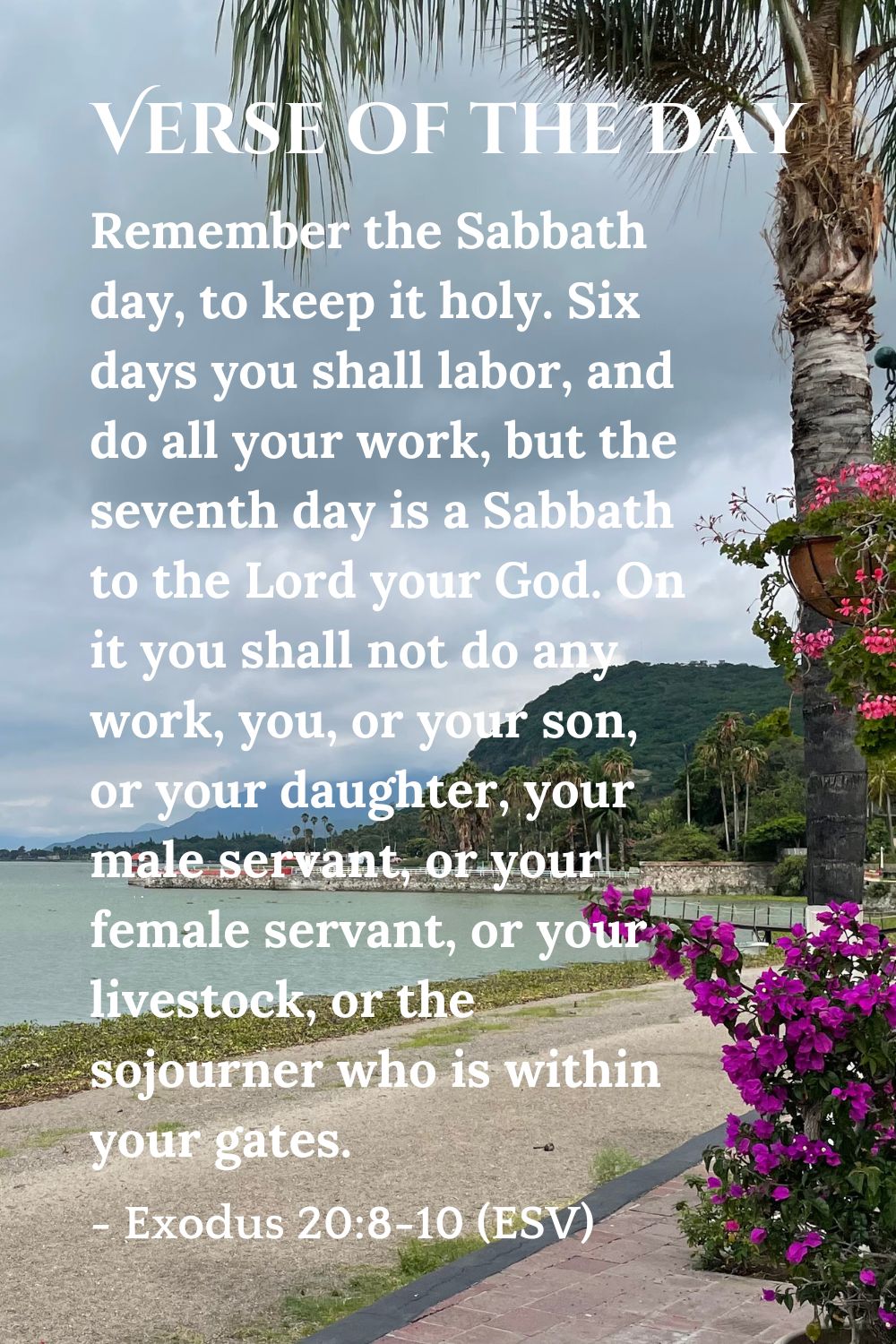 Exodus 20:8-10 (ESV)