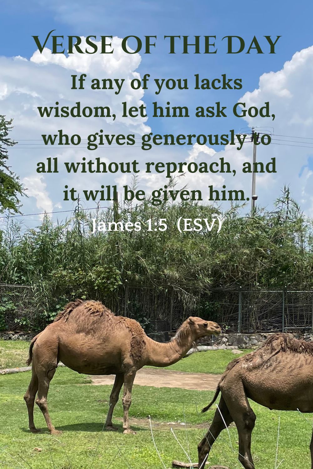 James 1:5 (ESV)