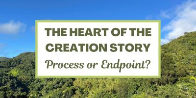 The Heart of the Creation Story: Process or Endpoint?