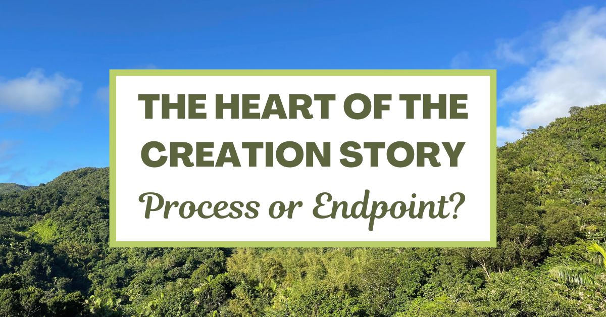 The Heart of the Creation Story: Process or&nbsp;Endpoint?
