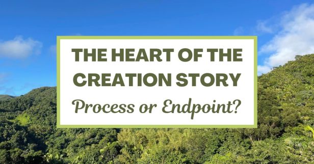 The Heart of the Creation Story: Process or Endpoint?