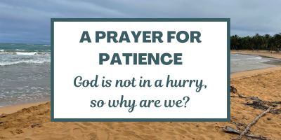 A Prayer for Patience: God is not in a hurry, so why are we?