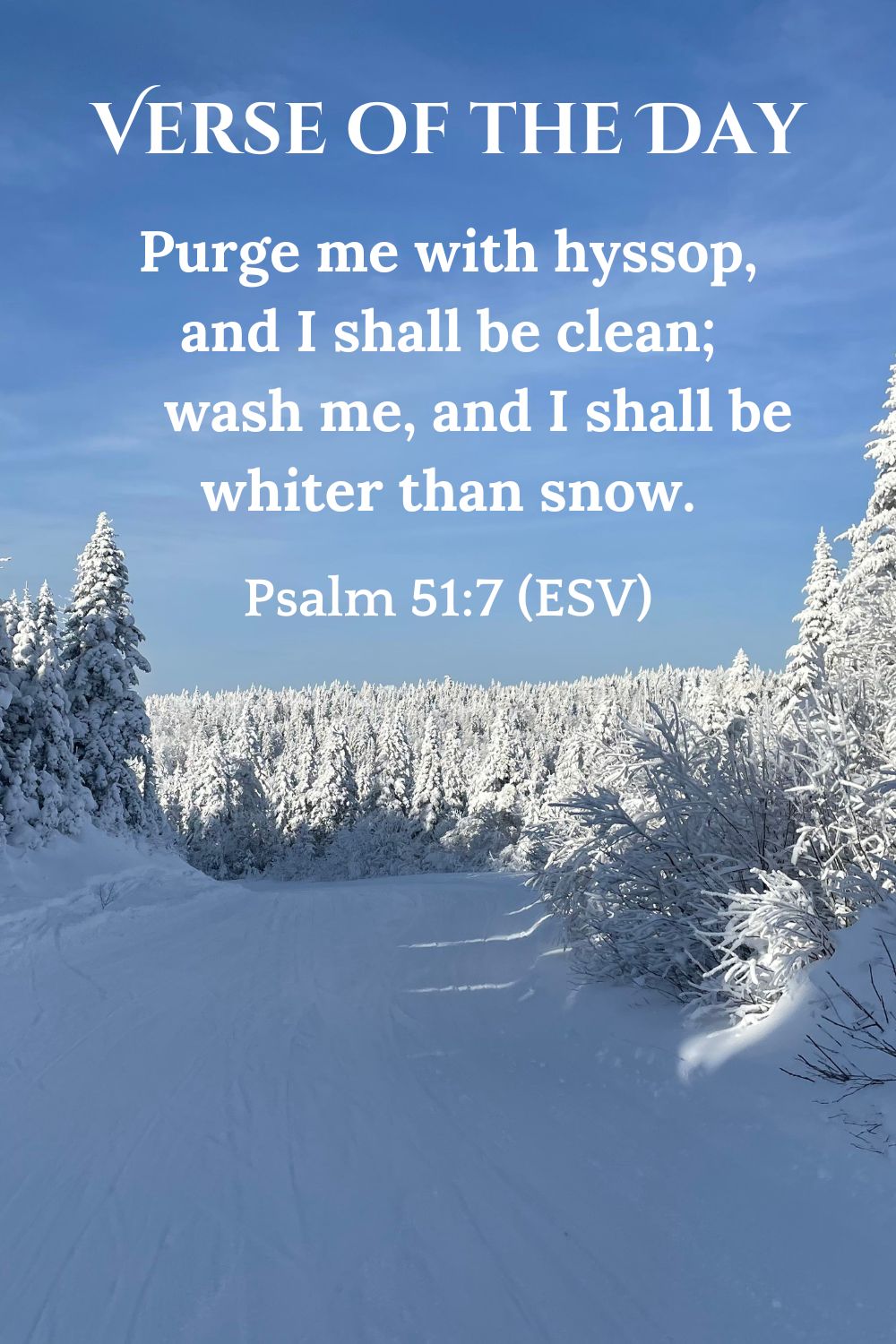 Psalm 51:7 (ESV): Purge me with hyssop, and I shall be clean; wash me, and I shall be whiter than snow.