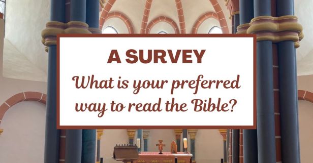 A Survey: What is your preferred way to read the Bible?