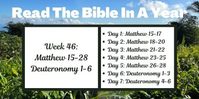 Read the Bible in a Year: Week 46 - Matthew 15-28 and Deuteronomy 1-6