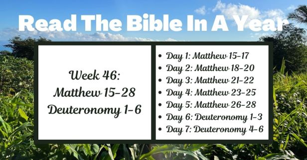 Read the Bible in a Year: Week 46 – Matthew 15-28 and Deuteronomy 1-6