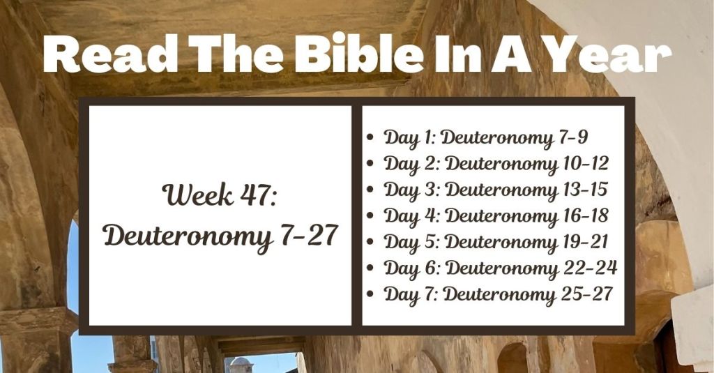 Read the Bible in a Year: Week 47 – Deuteronomy&nbsp;7-27