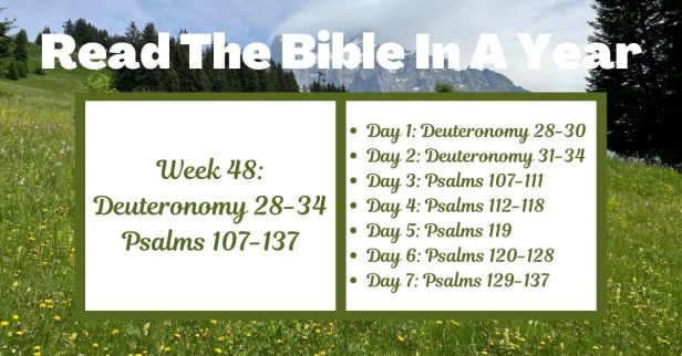 Read the Bible in a Year: Week 48 – Deuteronomy 28-34 and Psalms 107-137
