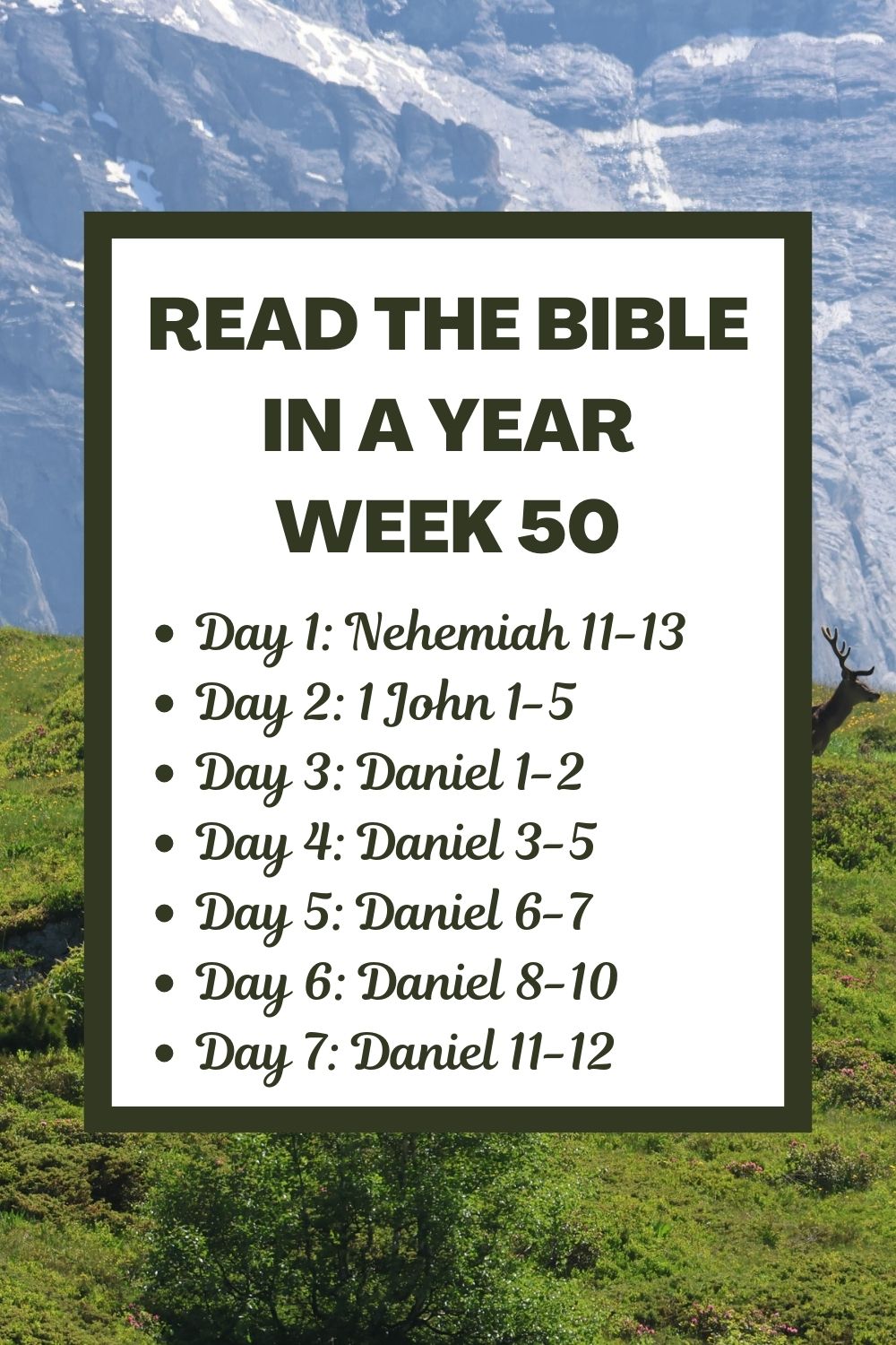 Read the Bible in a Year: Week 50 - Nehemiah 11-13, 1 John, and Daniel