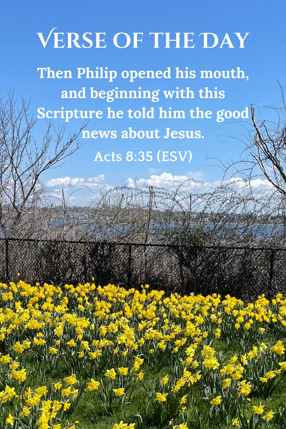 Acts 8:35 (ESV)