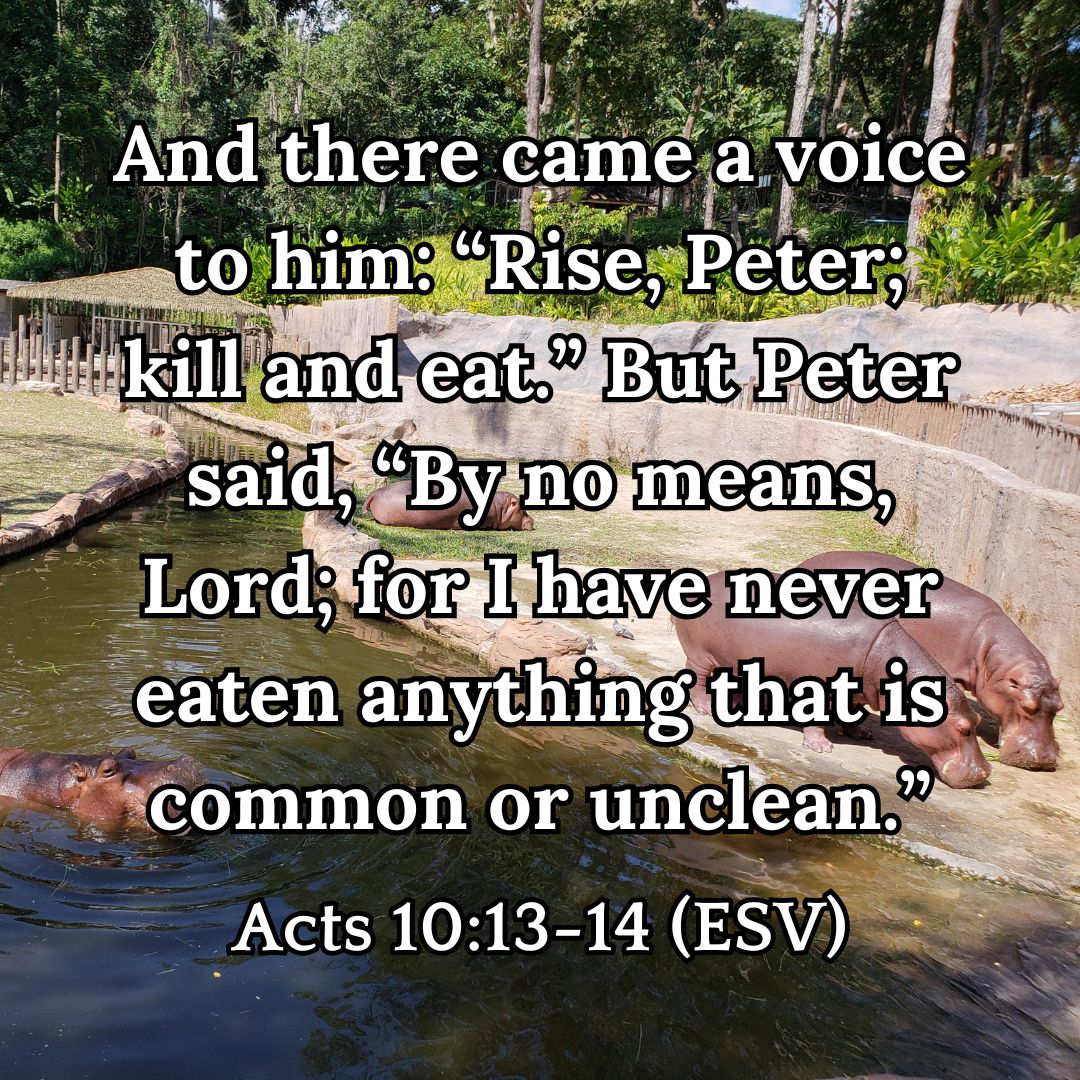 Acts 10:13-14 (ESV)