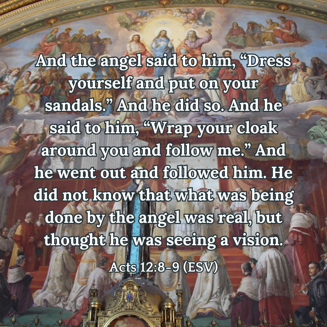 Acts 12:8-9 (ESV)