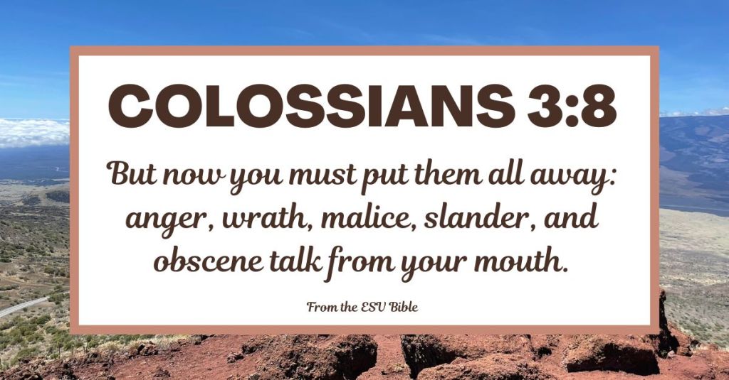 Colossians 3:8 (ESV)