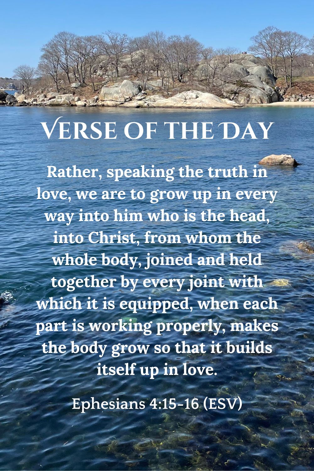 Ephesians 4:15-16 (ESV)