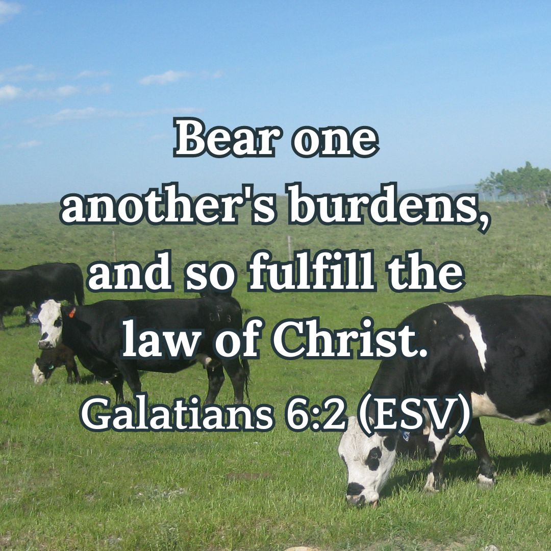 Galatians 6:2 (ESV)
