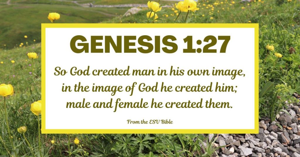 Genesis 1:27 (ESV)
