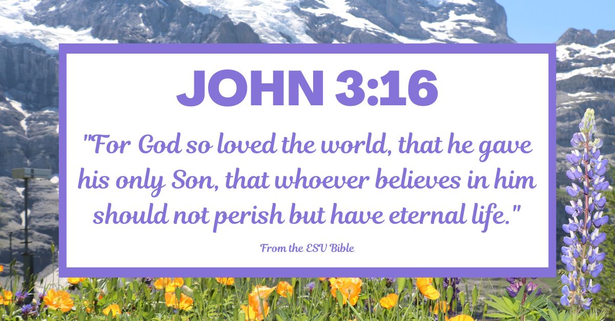 "For God so loved the world, that he gave his only Son, that whoever believes in him should not perish but have eternal life." - John 3:16 (ESV)