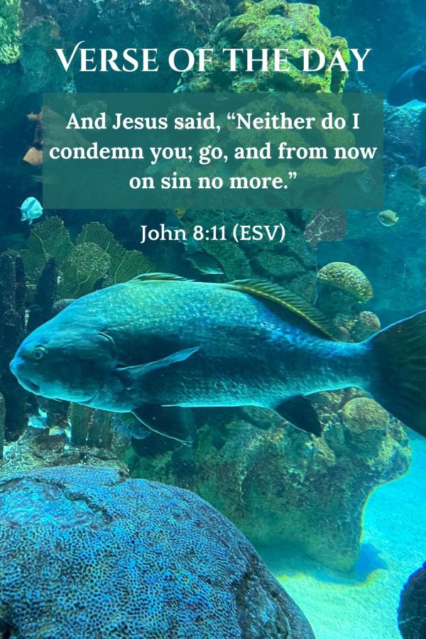 Major vs. Minor Issues in the Christian Faith: Finding Balance and ...
