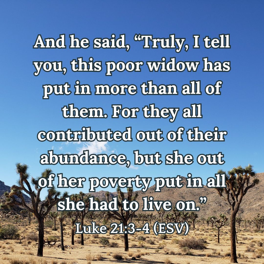 Luke 21:3-4 (ESV)