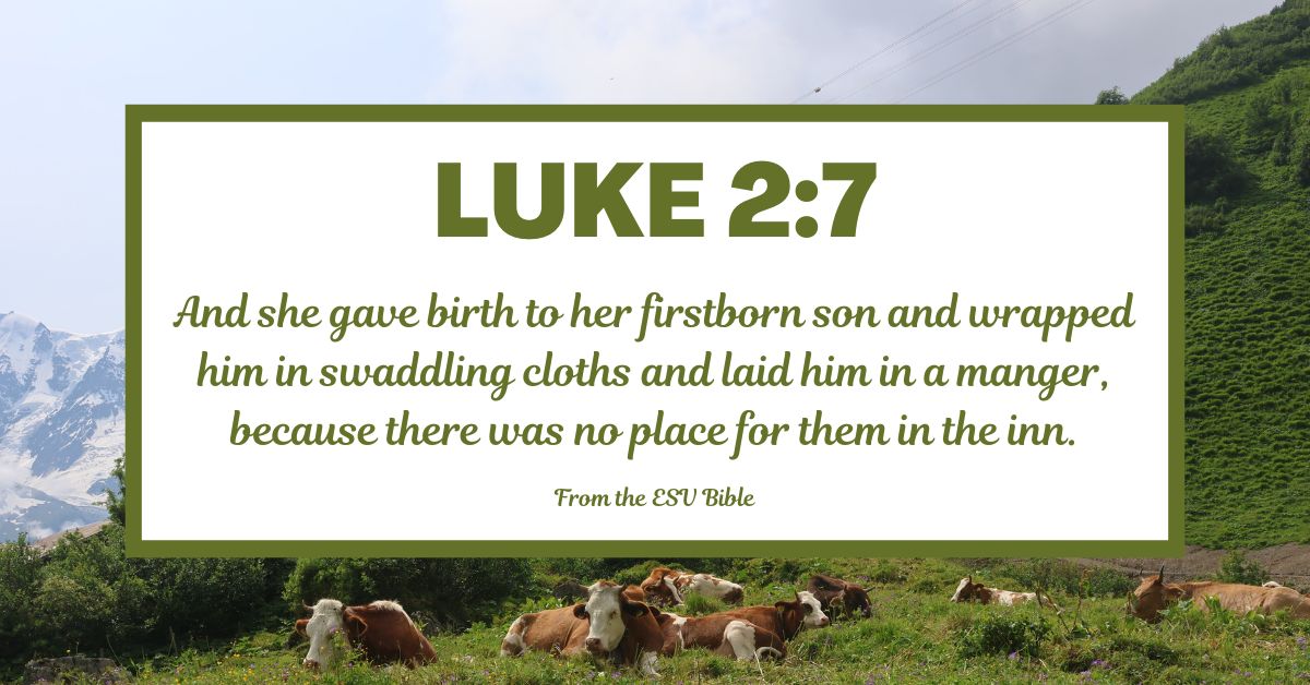 Luke 2:7 (ESV)