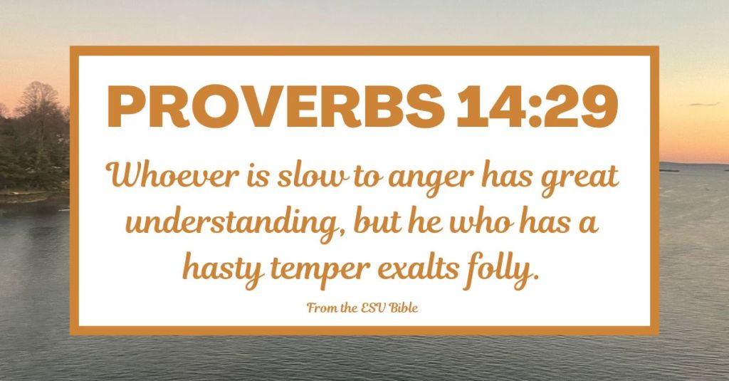 Proverbs 14:29 (ESV)