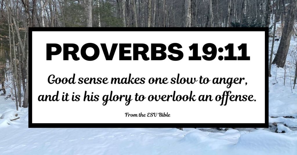 Proverbs 19:11 (ESV)