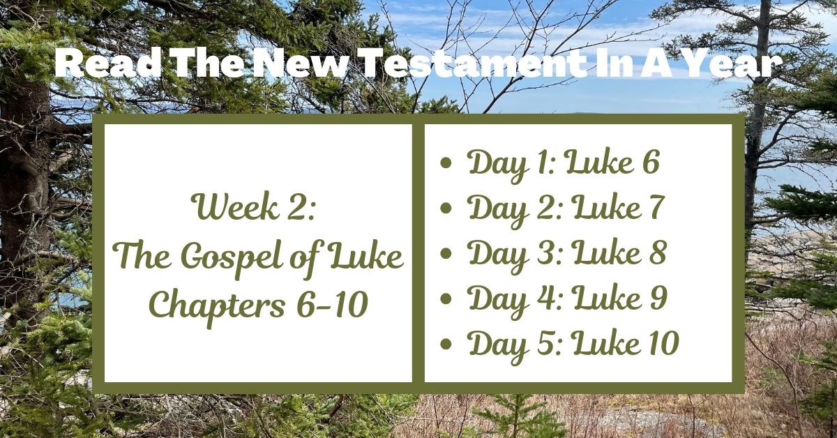 Read the New Testament in a Year: Week 2 – The Gospel of Luke Chapters&nbsp;6-10