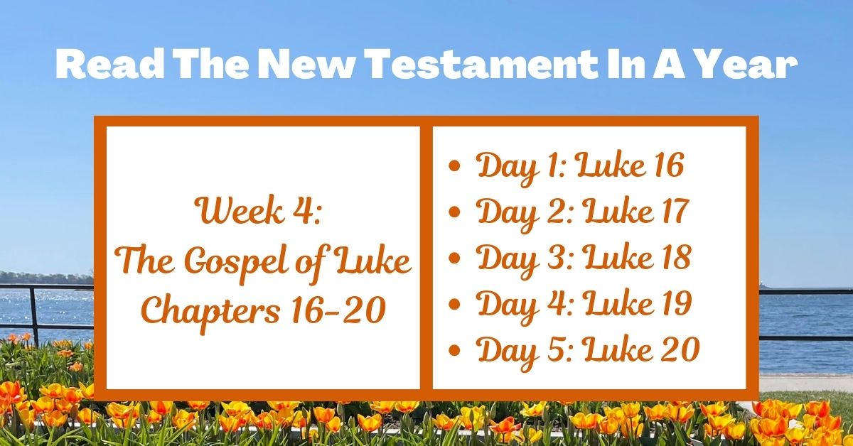 Read the New Testament in a Year: Week 4 – The Gospel of Luke Chapters&nbsp;16-20