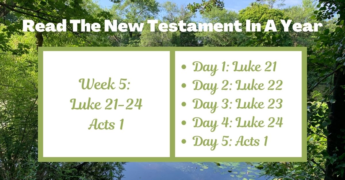 Read the New Testament in a Year: Week 5 – Luke 21-24 and Acts&nbsp;1