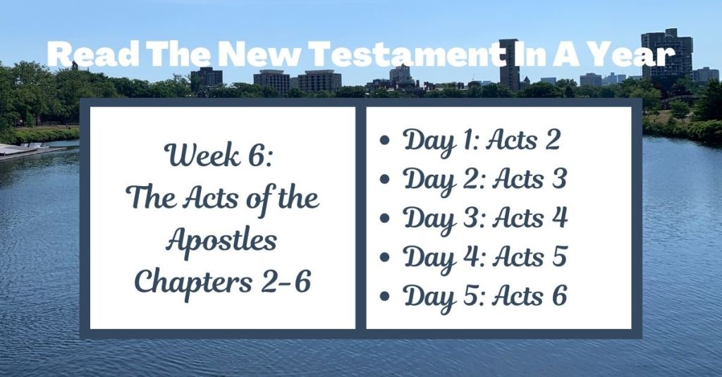 Read the New Testament in a Year: Week 6 – Acts of the Apostles Chapters&nbsp;2-6